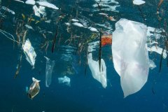 可降解塑料与再生塑料的区别在哪里？