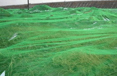 防止“绿网”引发土壤污染